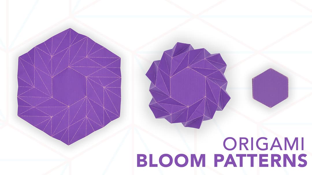 Bloom Patterns: A New Family of Origami Designs