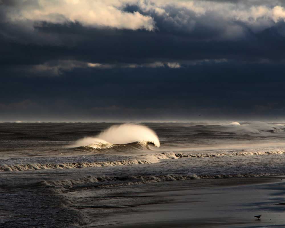 Winter Storm Stella