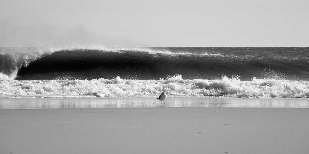 Winter Surf