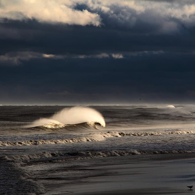 Winter Storm Stella