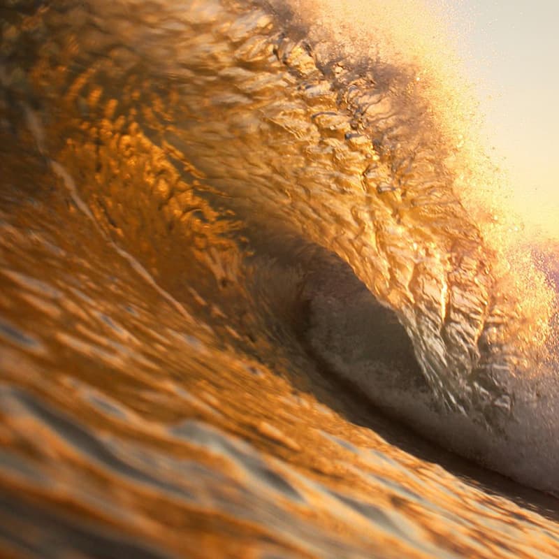 The Golden Hour