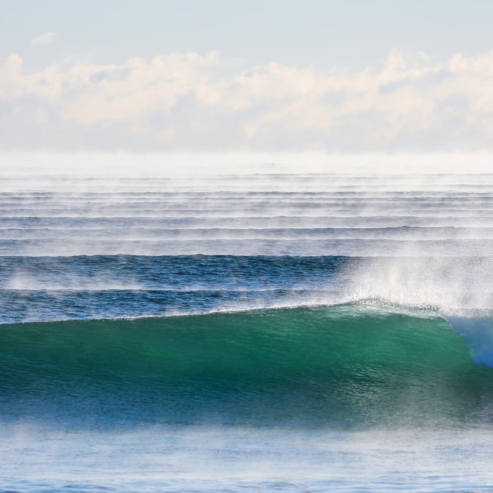 Sea Smoke
